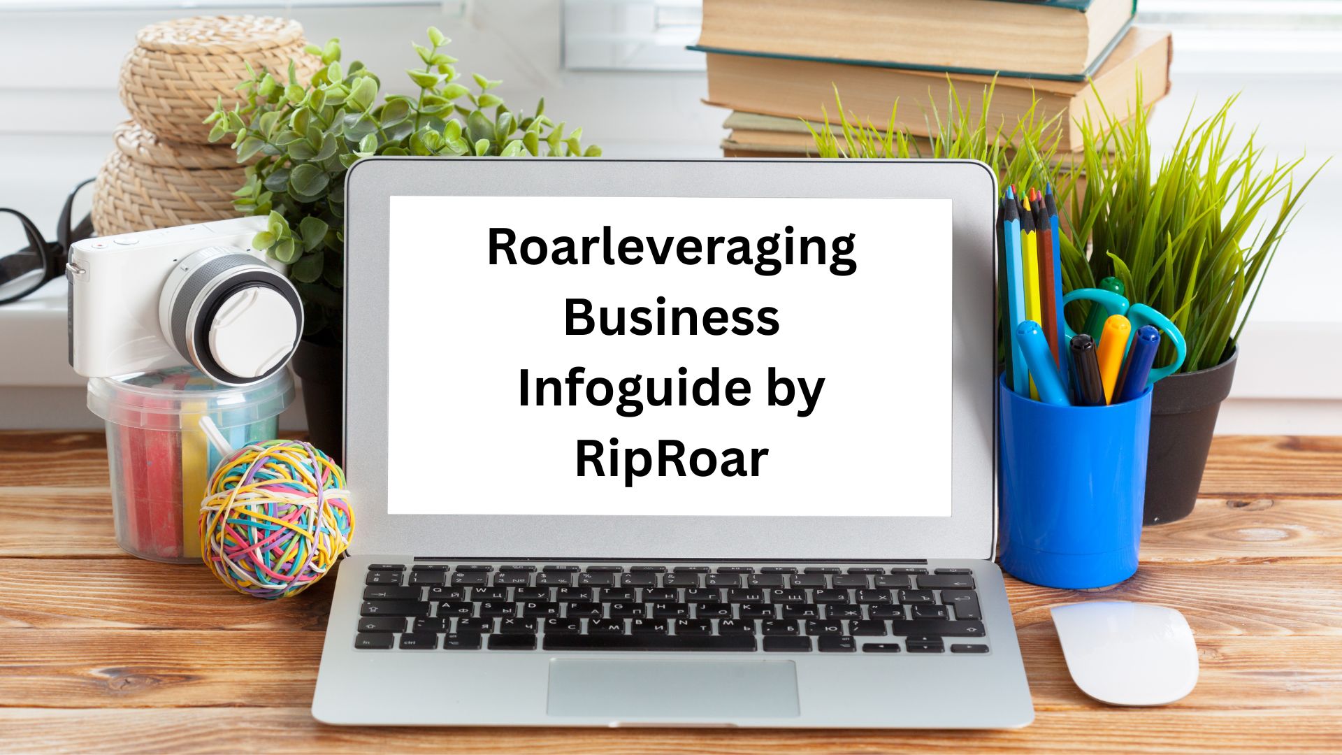 roarleveraging business infoguide by riproar