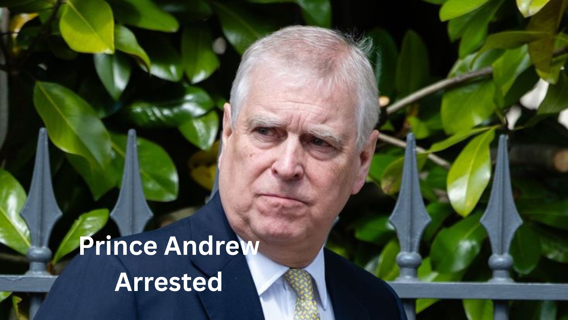 prince andrew arrested prince andrew arrested