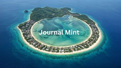 Photo of Where Is Beevitius Islands – The Real Story You’ve Been Searching For